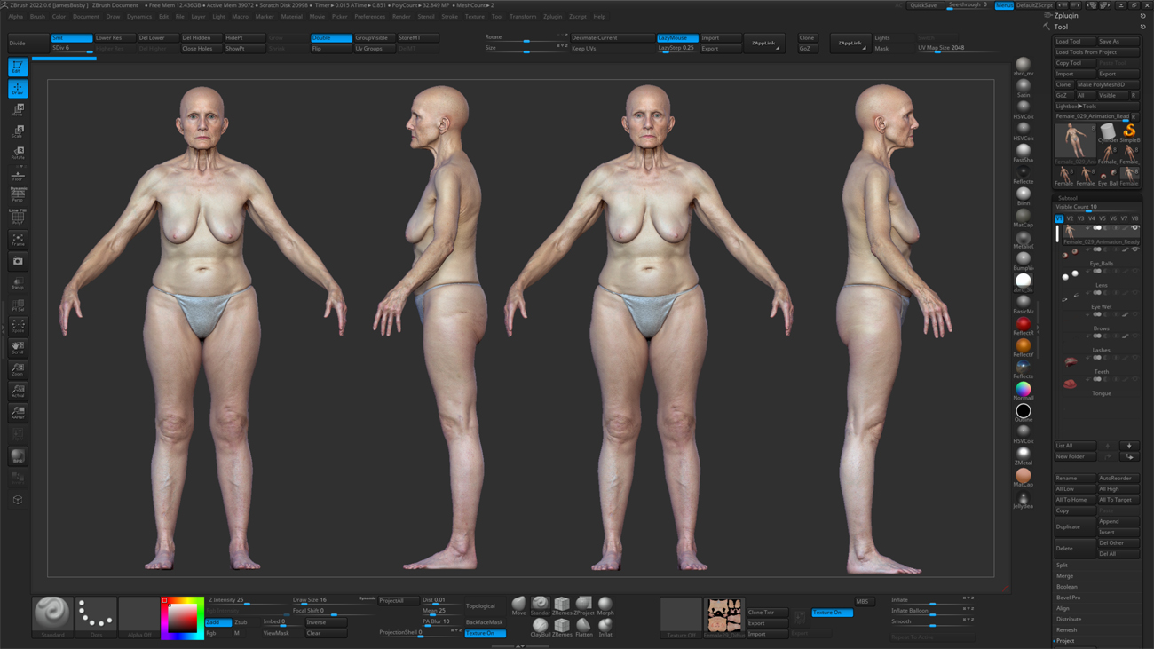 ZBrush ZTool render of an older female 3D body scan at high subdivision showing sculpt-ready geometry